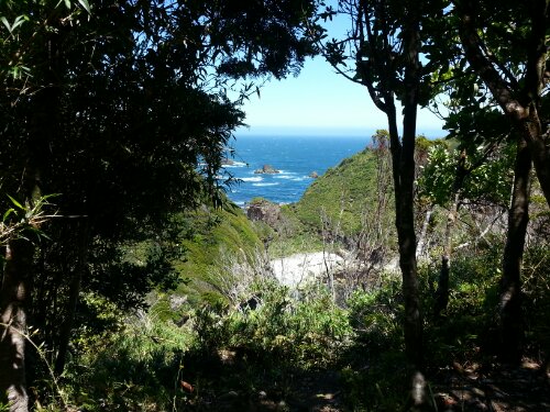 20130116_132515.jpg image