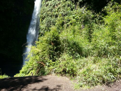 20130118_152305.jpg image