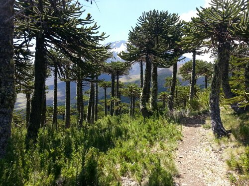 20130120_152107.jpg image